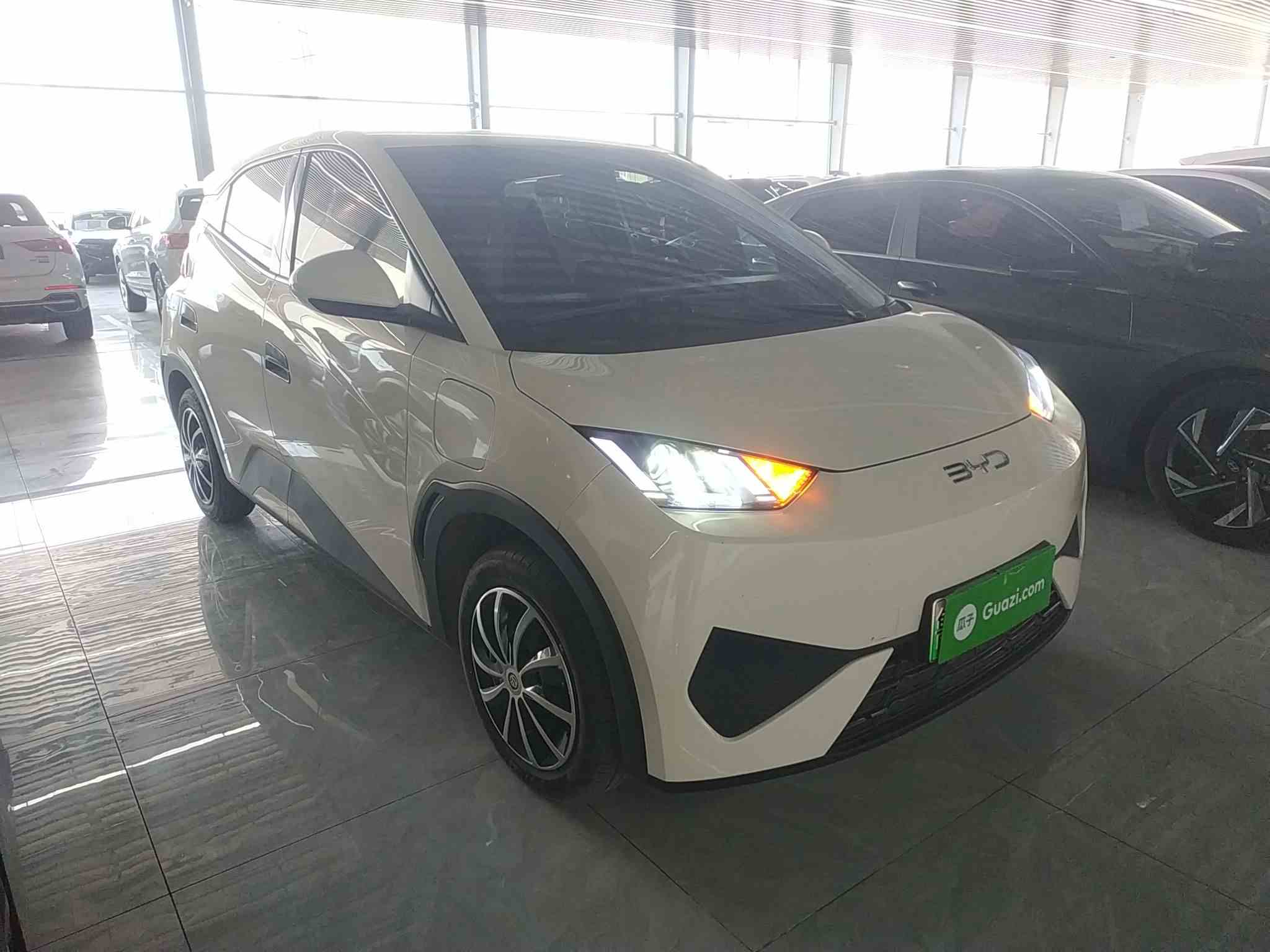 比亚迪 海鸥 2025款 智驾版 305km 活力版(5)