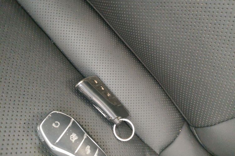 雷克萨斯UX新能源 2020款 300e 纯·悦版中控内饰11