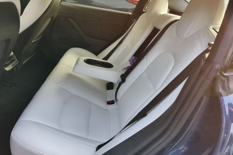 特斯拉 Model 3 2021款 标准续航后驱升级版 3D6中控内饰7003