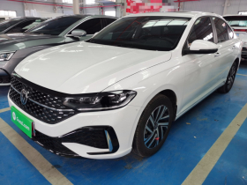 大众 朗逸 2024款 1.5L 自动星空五百万版