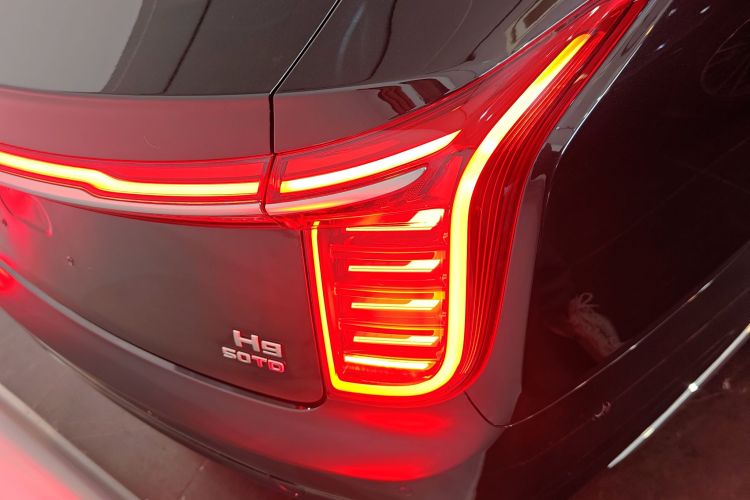 红旗H9 2020款 3.0T 智联旗畅版车身外观9