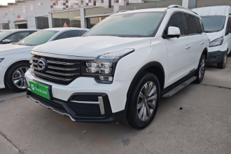 广汽传祺 传祺GS8 2020款 390T 两驱豪华智联版（七座）