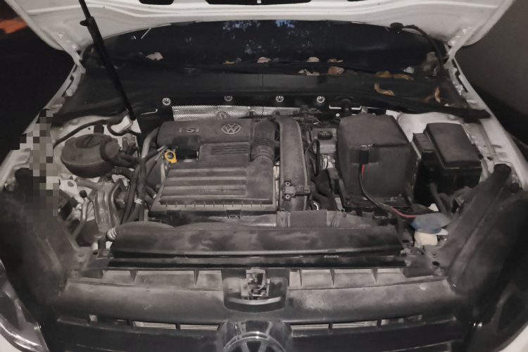 大众 高尔夫 2015款 1.4TSI 自动豪华型局部细节24