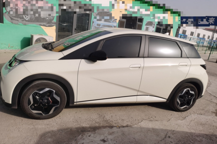 比亚迪 海豚 2025款 420km 活力版车身外观4