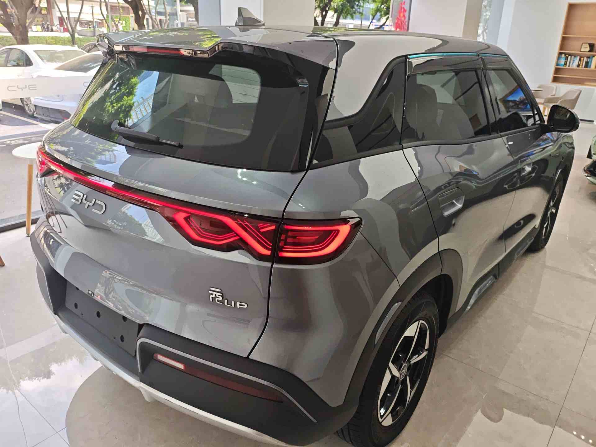 比亚迪 元UP 2024款 401KM 领先型(4)