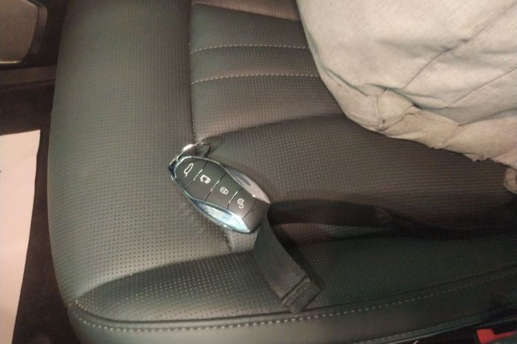 红旗HQ9 2023款 2.0T 智联旗享版中控内饰11