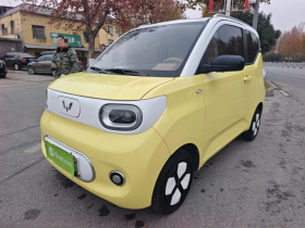 五菱汽车 宏光MINIEV 2024款 第三代 215km 进阶版