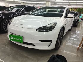 特斯拉 Model 3 2021款 改款 标准续航后驱升级版 3D1