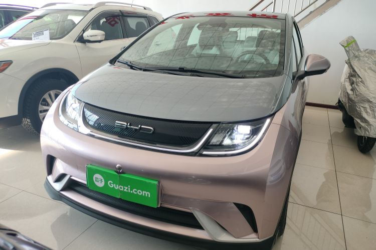 比亚迪 海豚 2021款 401km 骑士版车身外观2