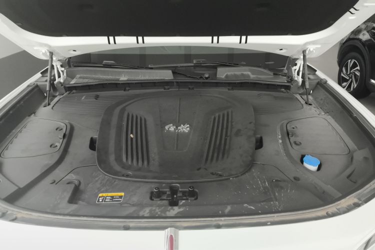 红旗E-HS9 2022款 660km 旗畅版 六座机舱底盘24