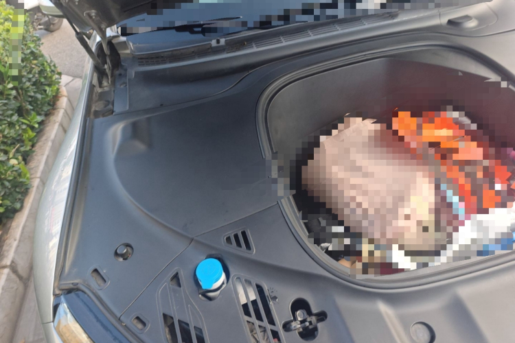 小鹏P7 2022款 480E局部细节9006