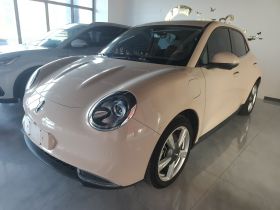 欧拉好猫 2023款 401km标准续航 豪华型 磷酸铁锂