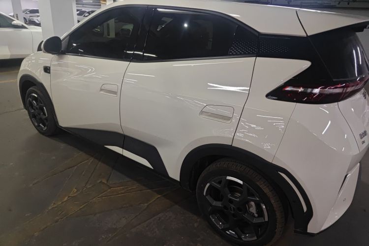 比亚迪 海鸥 2025款 智驾版 305km 自由版车身外观4