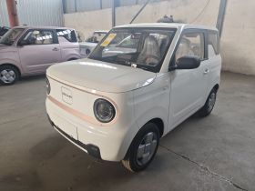 吉利银河 2024款 熊猫mini 200km 耐力熊