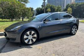 特斯拉 Model 3(进口) 2019款 Performance高性能全轮驱动版