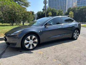特斯拉 Model 3(进口) 2019款 Performance高性能全轮驱动版