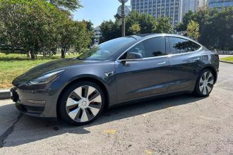 特斯拉 Model 3(进口) 2019款 Performance高性能全轮驱动版