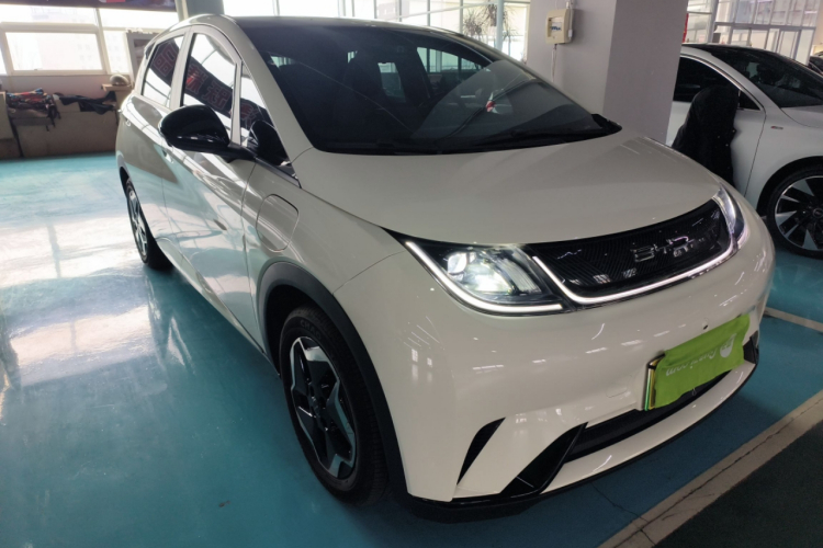 比亚迪 海豚 2021款 405km 时尚版车身外观3