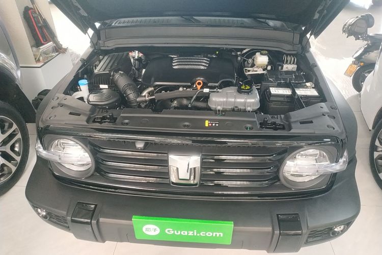 坦克300 2024款 2.0T 挑战者机舱底盘24