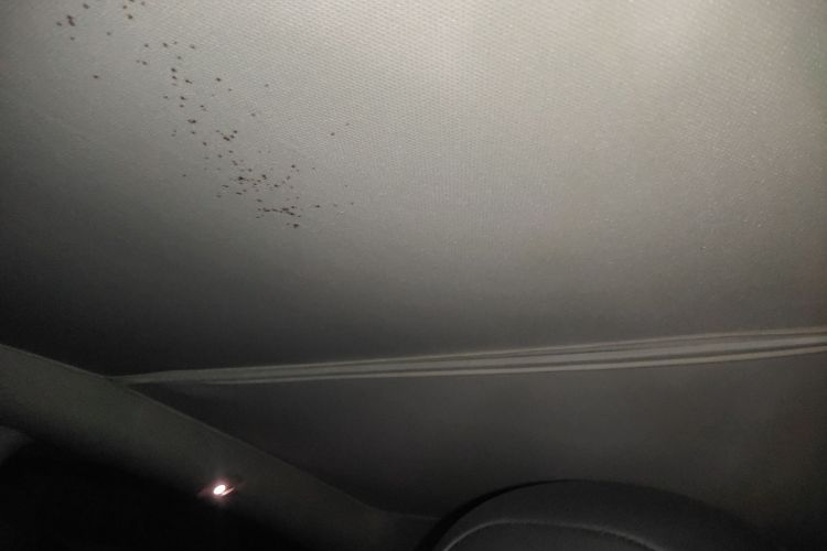 特斯拉 Model Y 2022款 后轮驱动版局部细节22