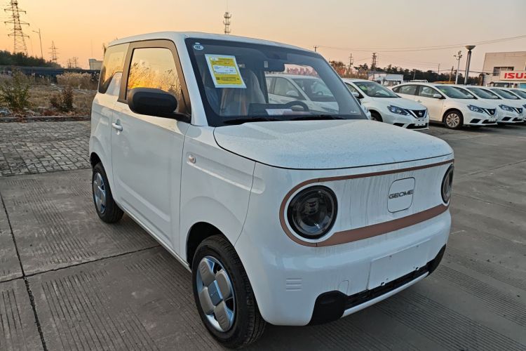 吉利银河 2024款 熊猫mini 200km 耐力熊车身外观3