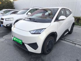 比亚迪 海鸥 2025款 智驾版 305km 活力版