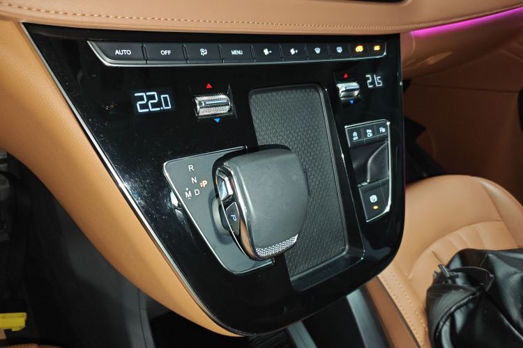 红旗HQ9 2023款 2.0T 智联旗领版局部细节18