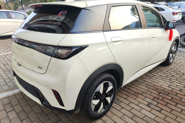 比亚迪 海豚 2025款 420km 自由版车身外观6005