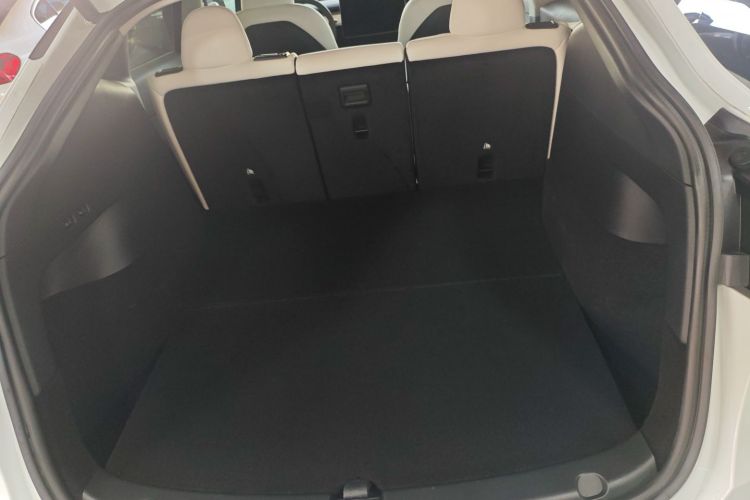 特斯拉 Model Y 2022款 Performance高性能全轮驱动版机舱底盘23