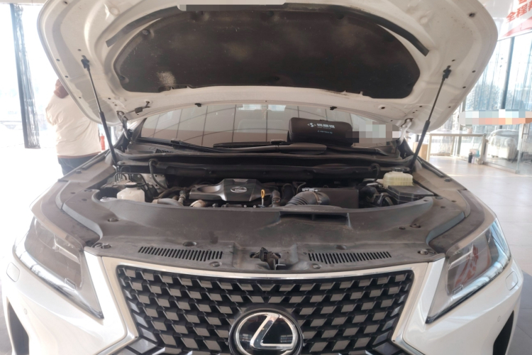 雷克萨斯RX 2020款 改款 300 两驱精英版局部细节24