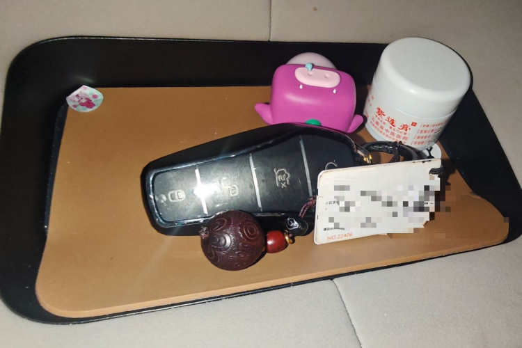 比亚迪 海豚 2023款 420km 自由版中控内饰11