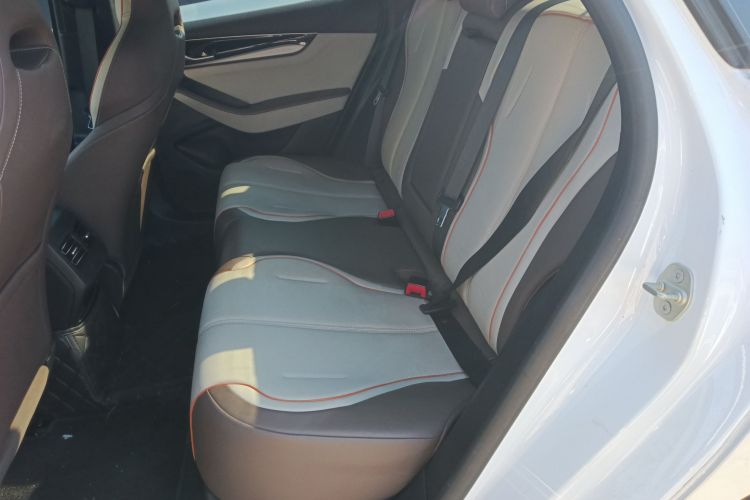 比亚迪 秦PLUS 2023款 冠军版 EV 510KM卓越型中控内饰7004