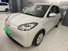 五菱汽车 五菱缤果 2023款 333km 快享款