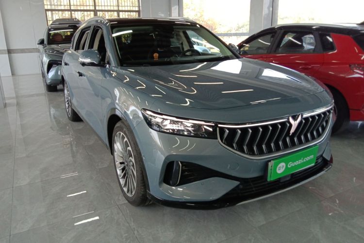 岚图汽车 岚图FREE 2021款 四驱纯电首发纪念版专属豪华套装车身外观3