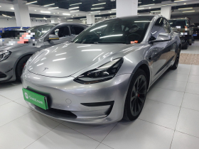 特斯拉 Model 3 2021款 标准续航后驱升级版