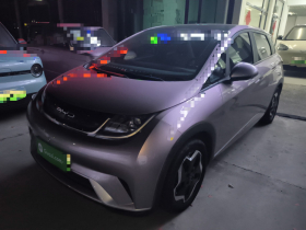 比亚迪 海豚 2021款 405km 时尚版