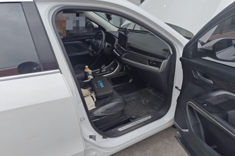 哈弗H6 2021款 国潮版 1.5T 自动都市版局部细节9005