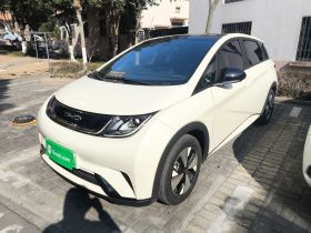 比亚迪 海豚 2023款 420km 时尚版