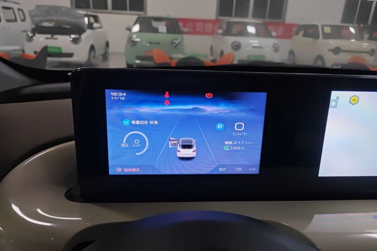 五菱汽车 五菱缤果 2024款 333km 悦享款局部细节14