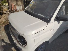 吉利银河 2024款 熊猫mini 200km 耐力熊