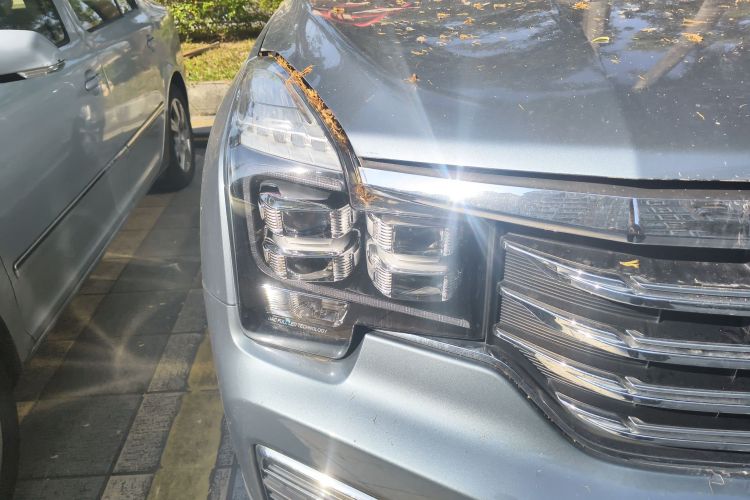 广汽传祺 传祺GS8 2017款 320T 两驱豪华智联版（七座）车身外观6006