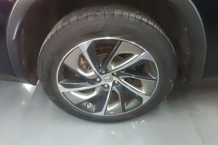 雷克萨斯RX 2016款 300 四驱典雅版 国V车身外观6008