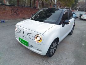 欧拉黑猫 2021款 405km 长续航型