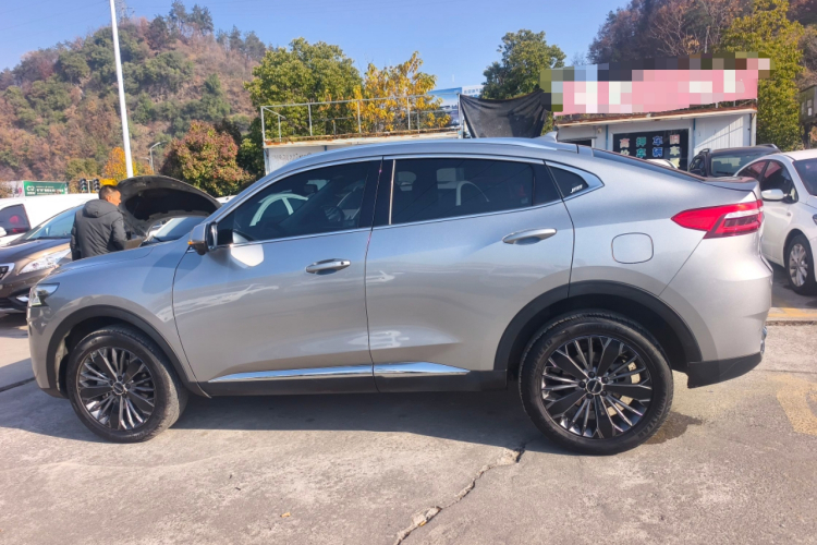 哈弗F7x 2021款 2.0T 两驱极智科技版车身外观6003