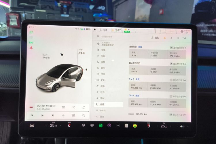特斯拉 Model 3(进口) 2019款 长续航全轮驱动版中控内饰14