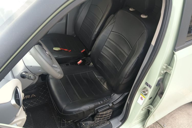 欧拉白猫 2022款 升级版 305km 舒享型 三元锂中控内饰19