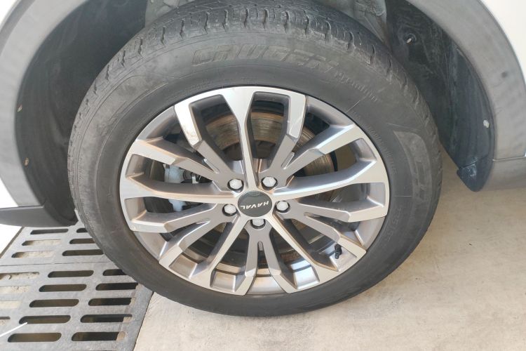 哈弗H6 2020款 1.5GDIT 自动铂金豪华版车身外观6007