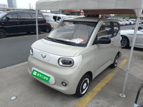 五菱汽车 宏光MINIEV 2024款 第三代 215km 青春版