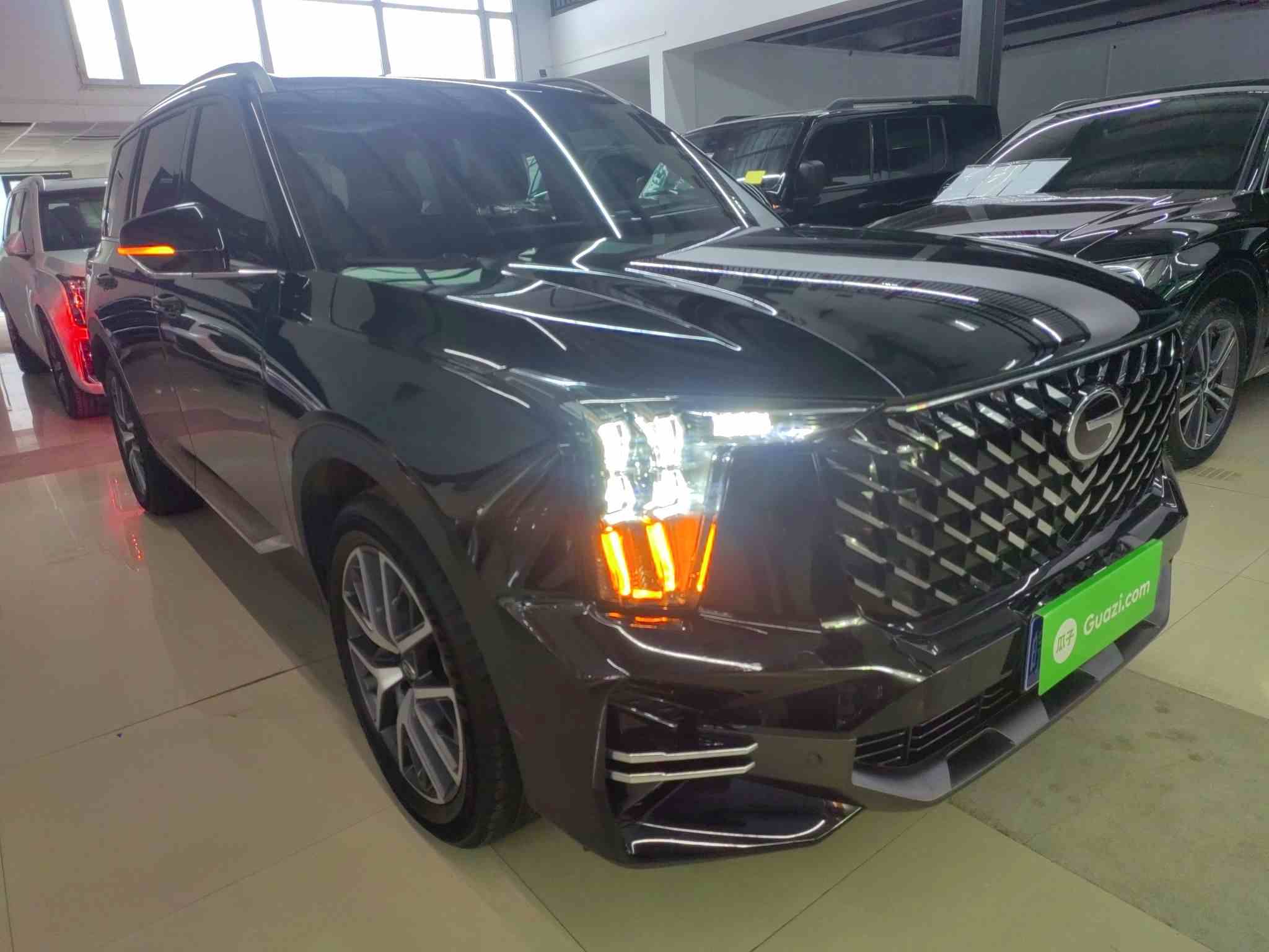 广汽传祺 传祺GS8 2025款 领航系列 2.0TGDI 两驱豪华版 5座(5)
