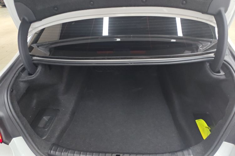 宝马5系 2021款 改款 530Li xDrive 豪华套装局部细节23